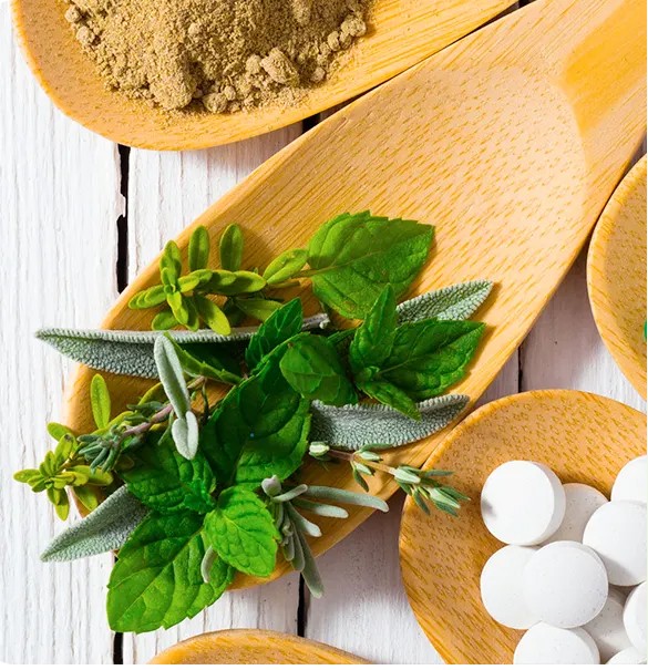 Fresh herbs and herbal powder